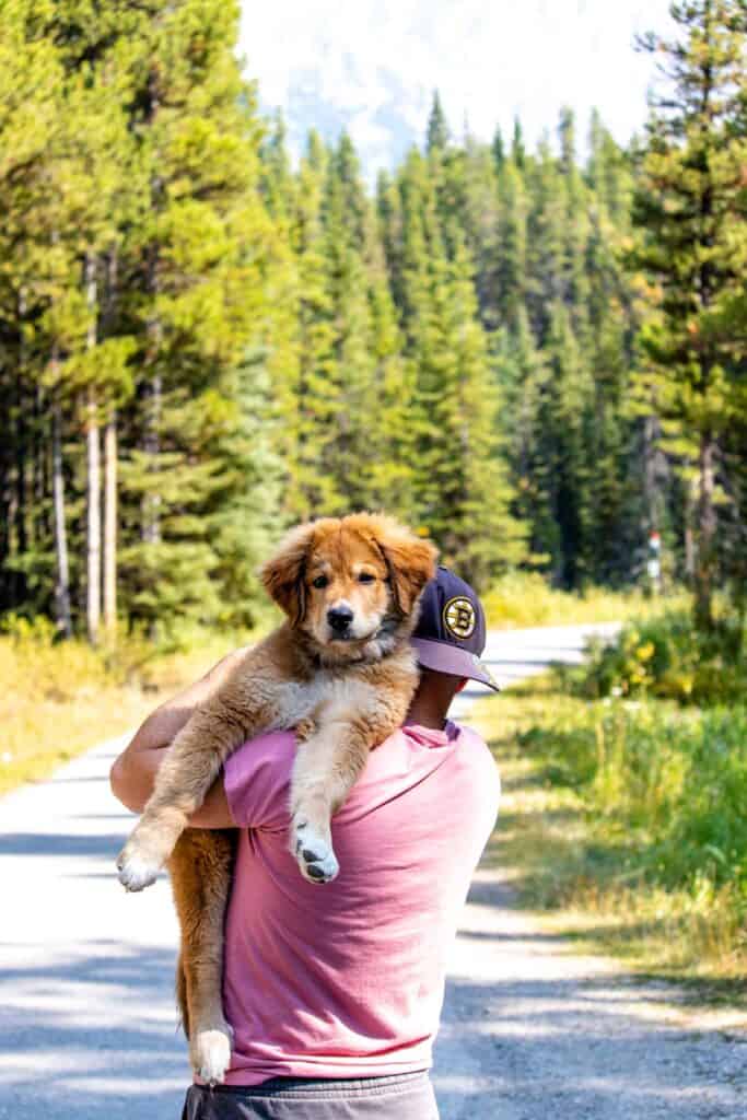 Eddie carrying Bernie with the rocky mountains in the background