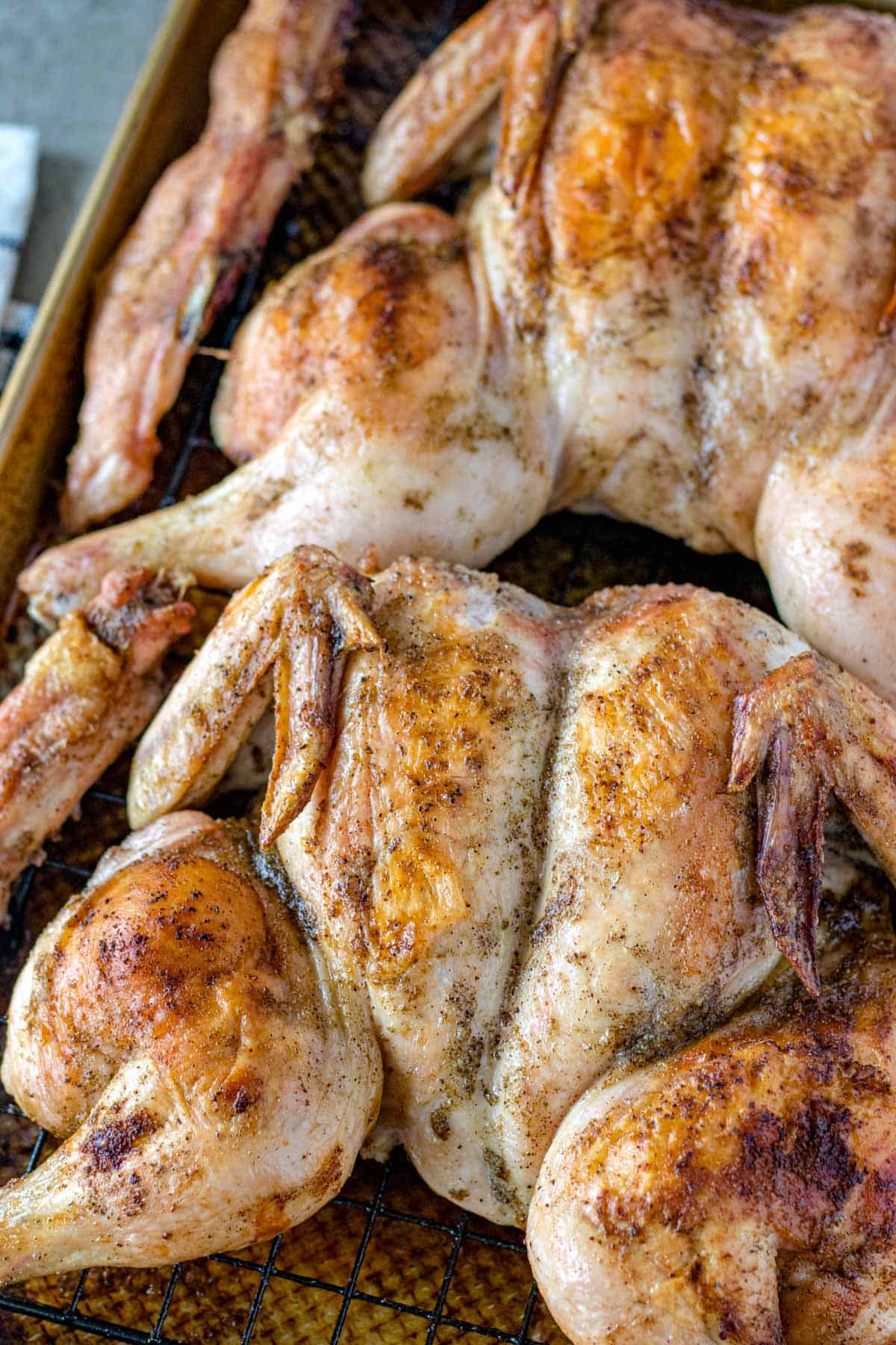 Two roasted chicken on a baking sheet.