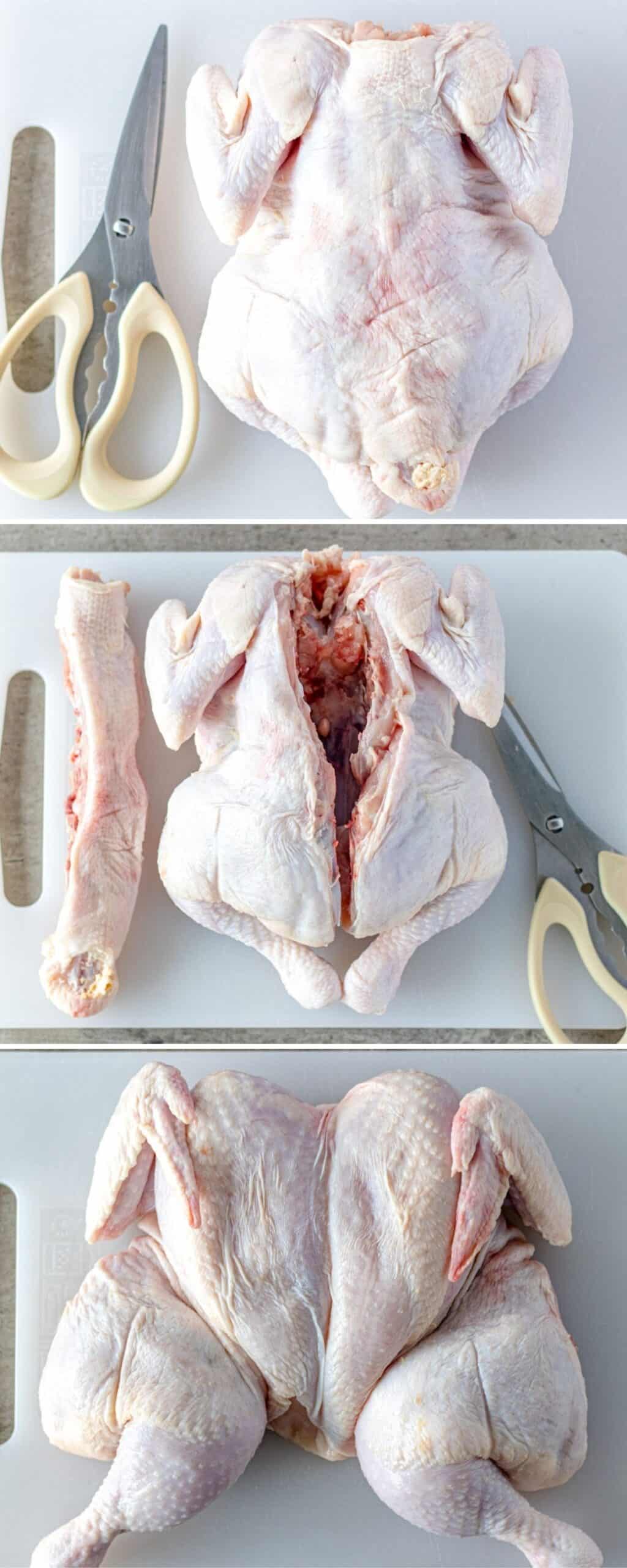 Cutting the backbone out of a chicken, showing the three steps.