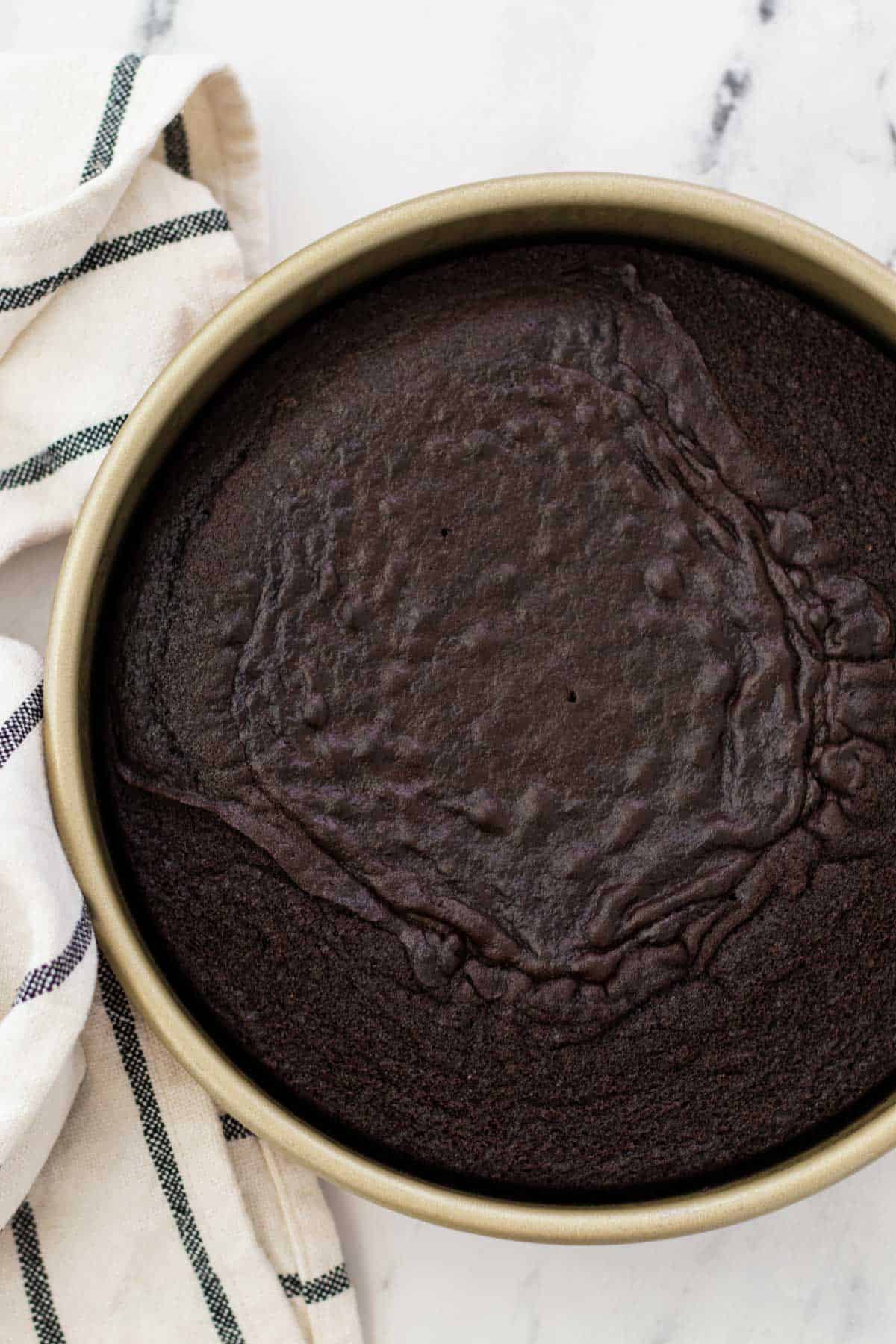 Chocolate cake baked in a cake pan.