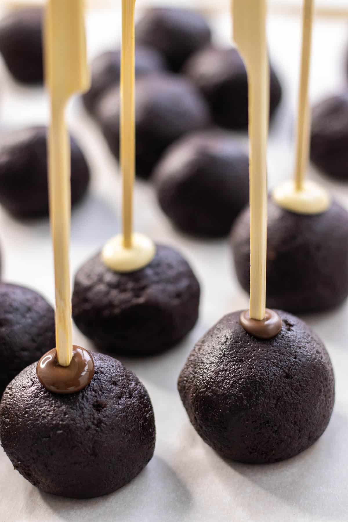 Sticks dipped in chocolate and inserted into the cake balls.