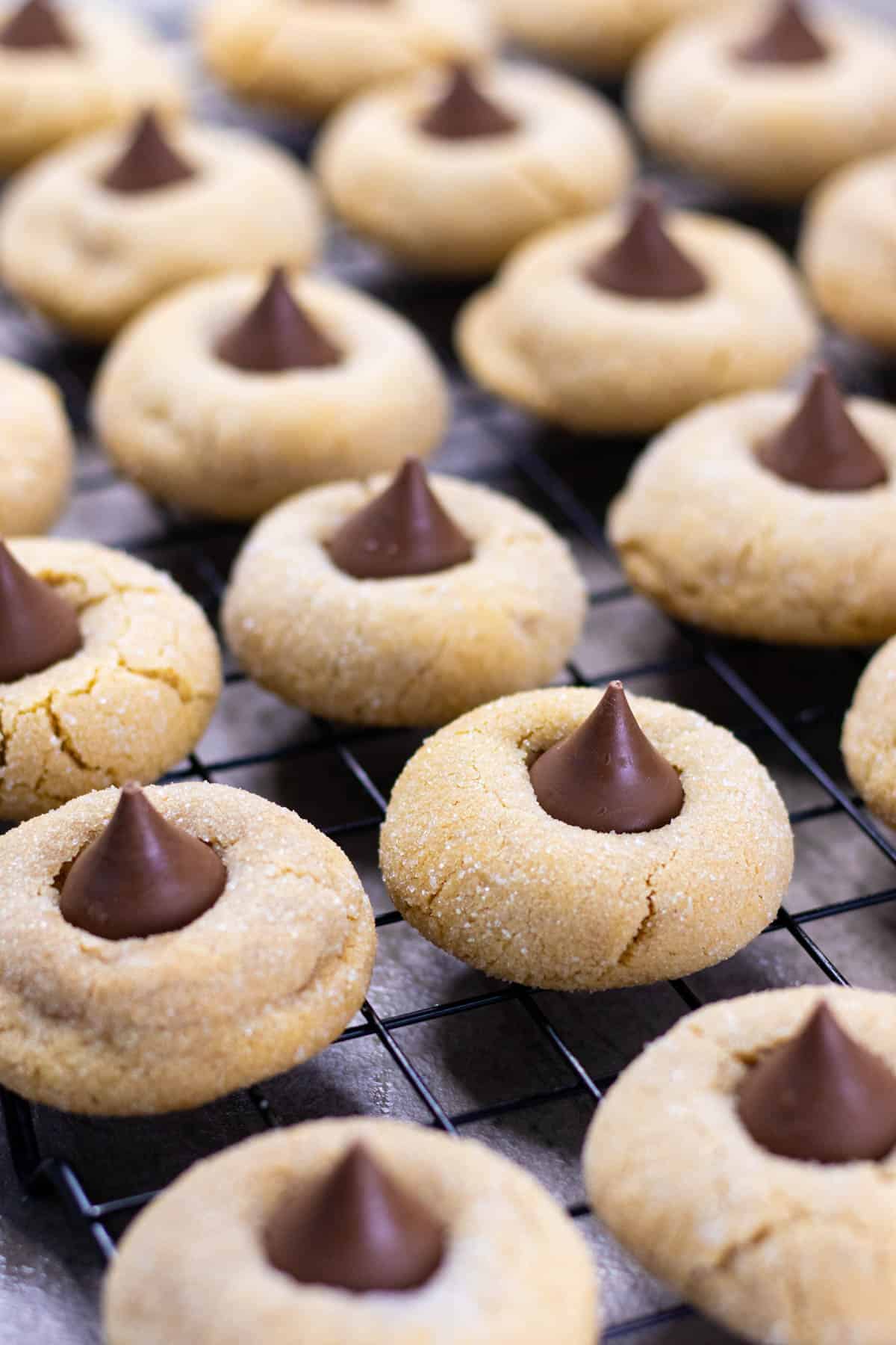 A classic peanut butter blossom cookie with the signature Hershey kiss chocolate on top.
