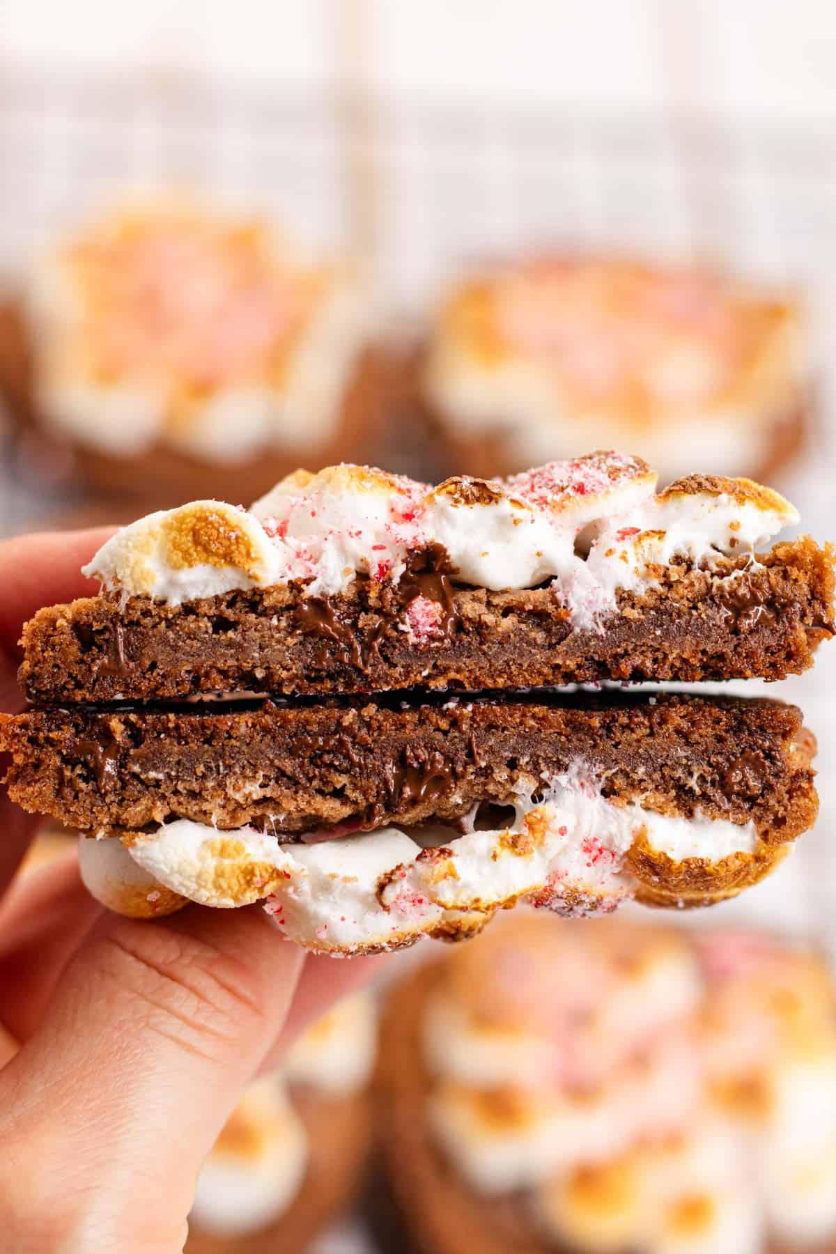 A hot chocolate cookie cut in half, showing the melty chocolate, with toasted marshmallows and candy cane sprinkle.