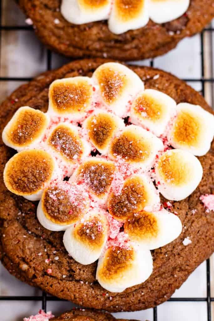 One hot cocoa cookie topped with golden marshmallows.
