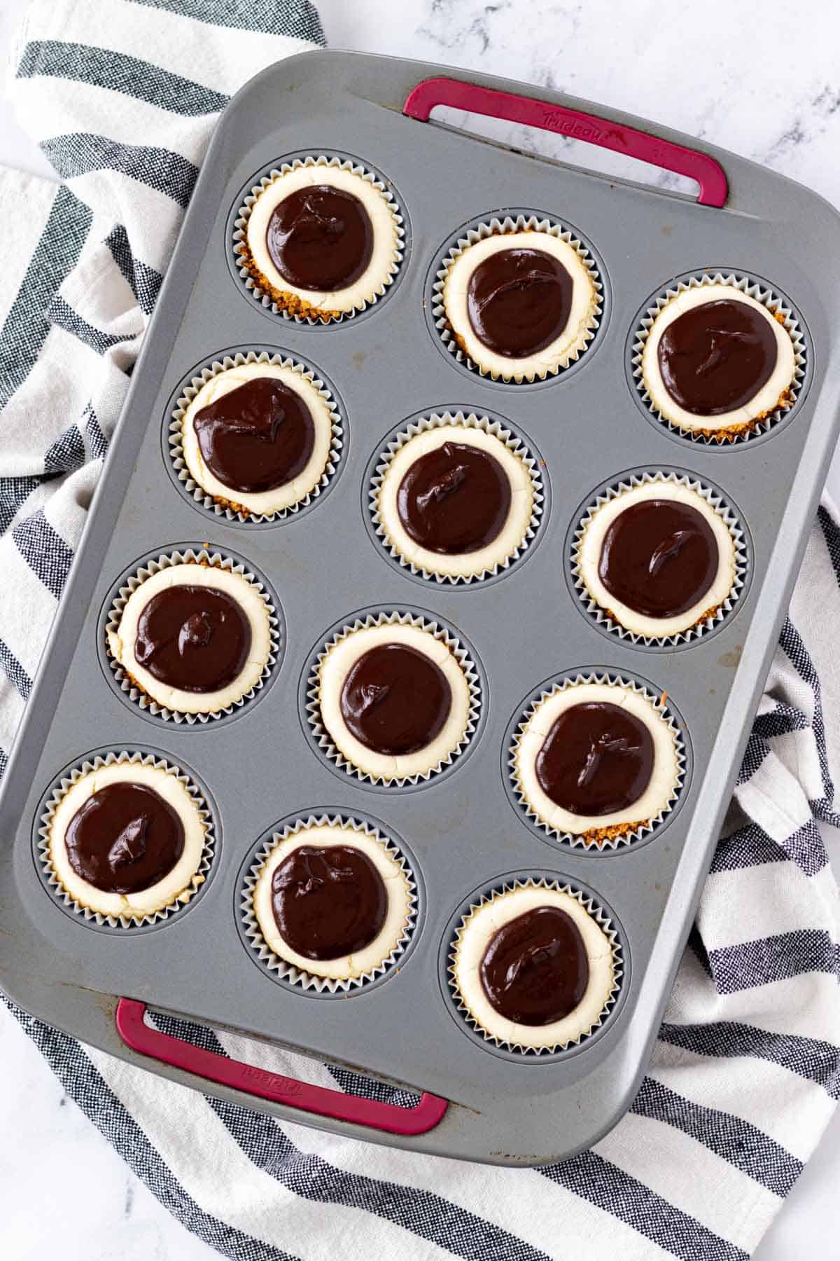 Adding the nutella ganache to the tops of the cheesecakes.