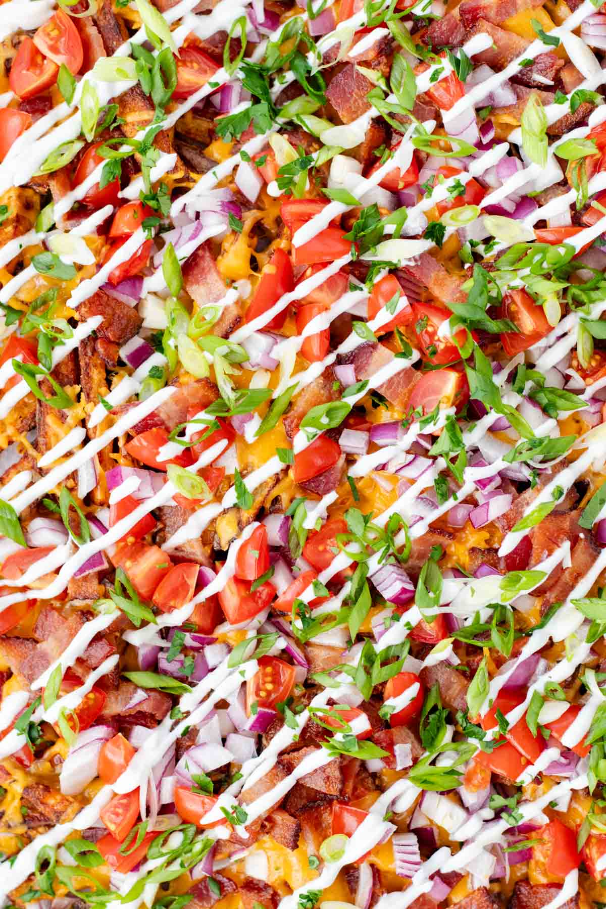 Tomatoes, red onions, green onions, bacon and cheese all on top of fries with a sour cream drizzle.