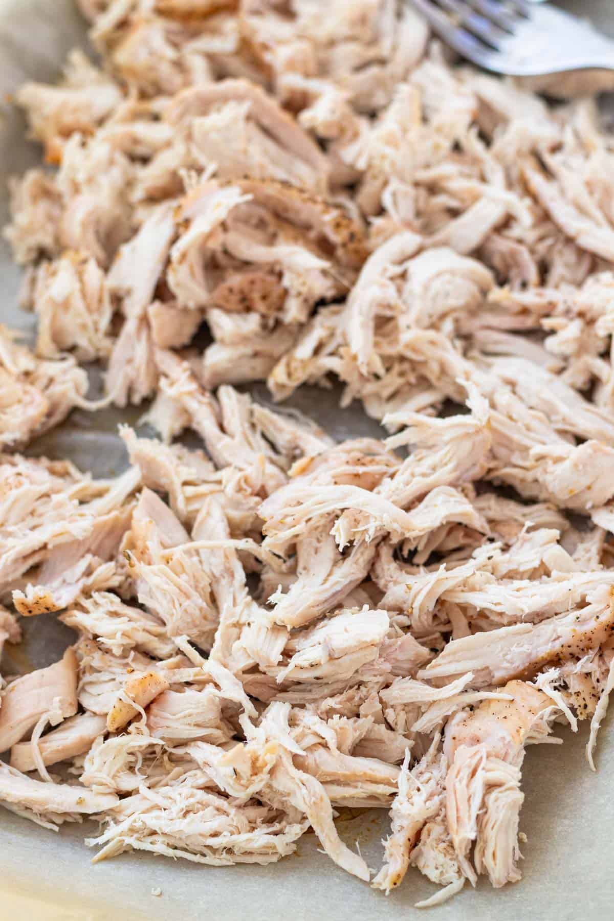 Cooked and shredded chicken on a sheet pan.