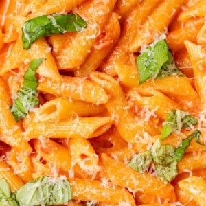 Close-up of creamy penne alla vodka topped with parmesan cheese and torn fresh basil.