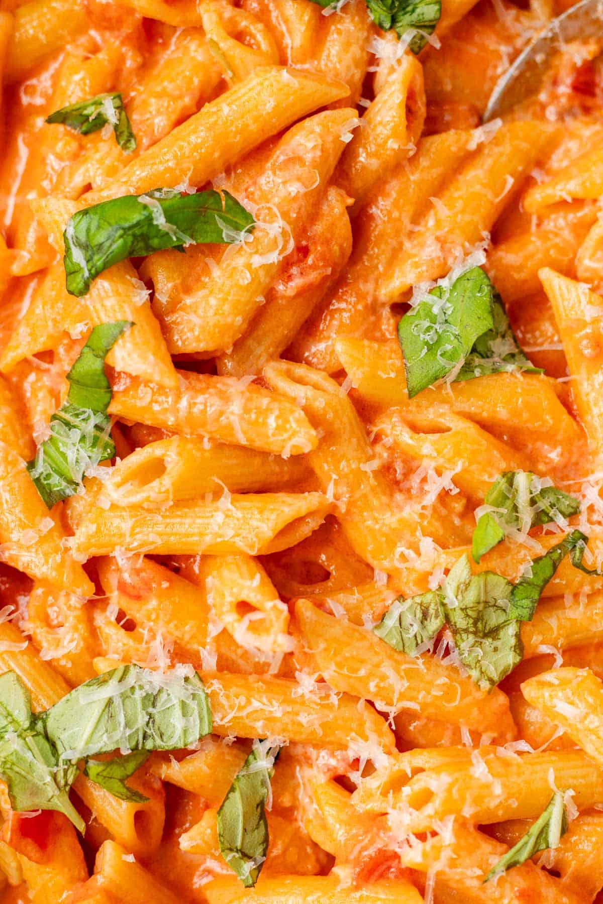 Close-up of creamy penne alla vodka topped with parmesan cheese and torn fresh basil.