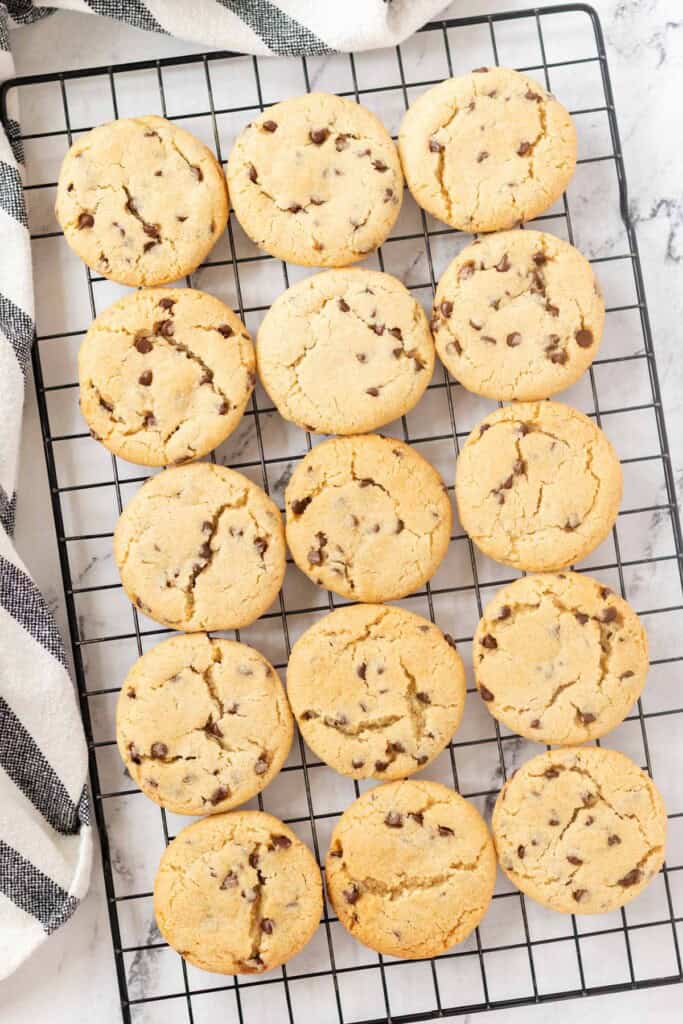 Vegan chocolate chip cookies on a black cooling rack.
